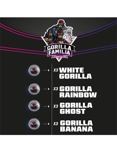 Gorilla Familia - X12