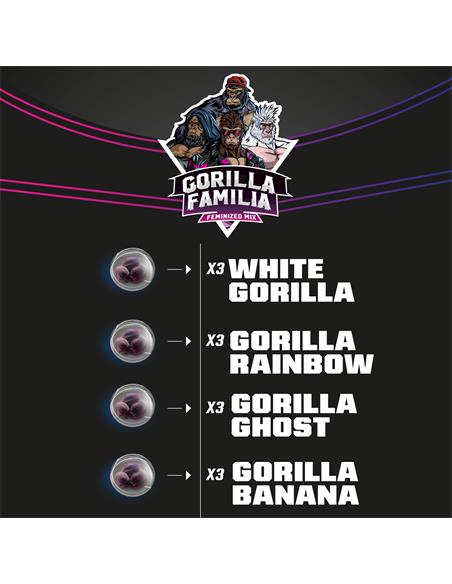Gorilla Familia - X12