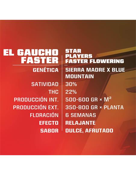 El Gaucho FF SP - X2