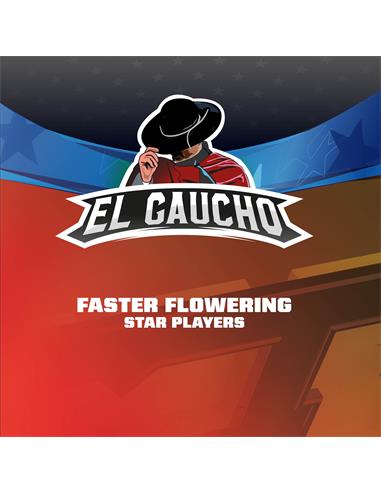 El Gaucho FF SP - X7