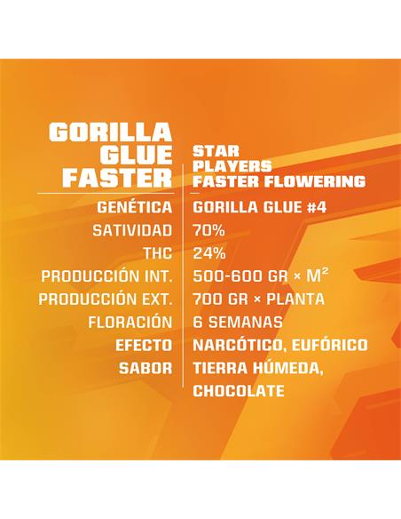 Gorilla Glue Faster FF SP - X2