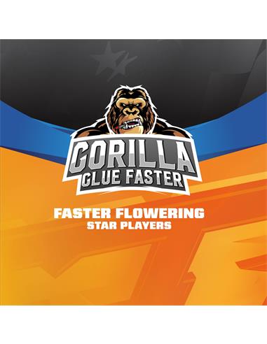Gorilla Glue Faster FF SP - X4