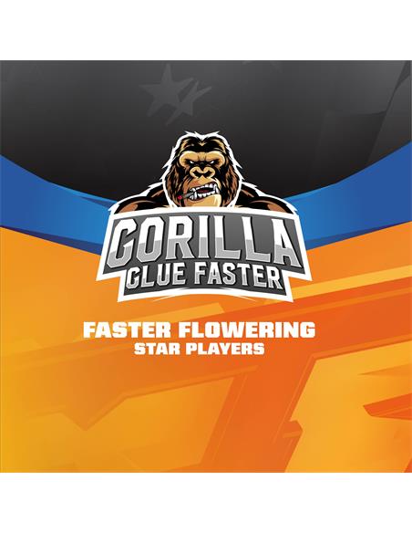 Gorilla Glue Faster FF SP - X7