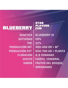 Blue Berry Fem - X7 2
