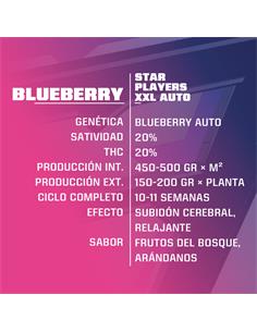 Blue Berry Auto - X4 2