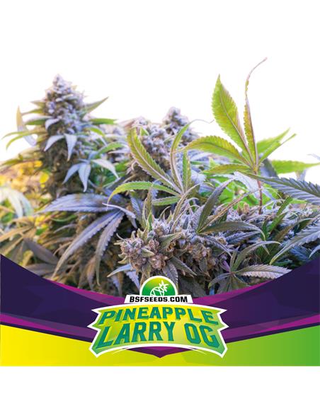 Pineapple Larry OG *SP - X2