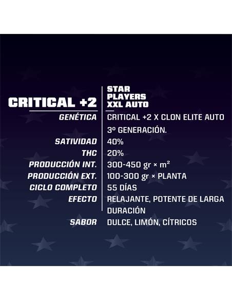 Critical +2 XXL Auto - X2