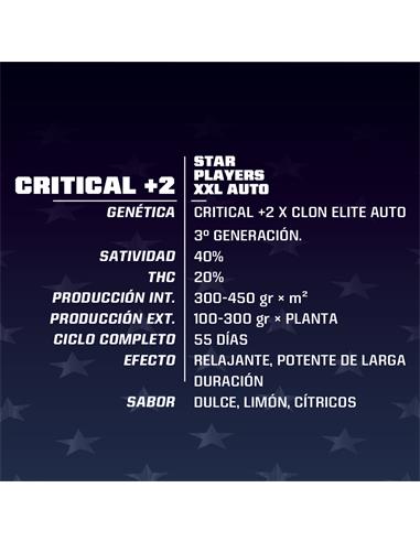 Critical +2 XXL Auto - X7
