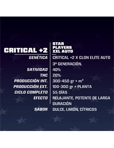 Critical +2 XXL Auto - X12 2