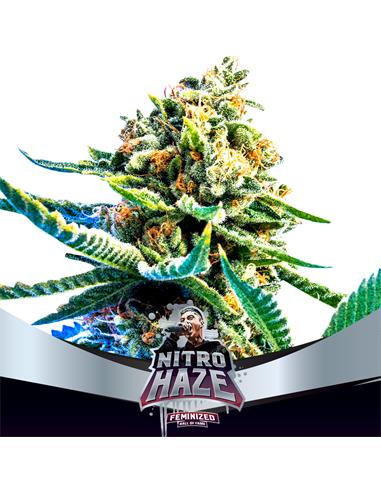 Nitro Haze Fem - X7