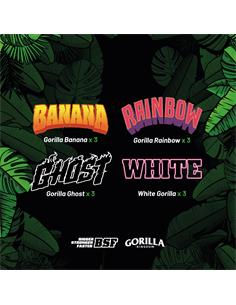 Gorilla Familia GK - X12 2