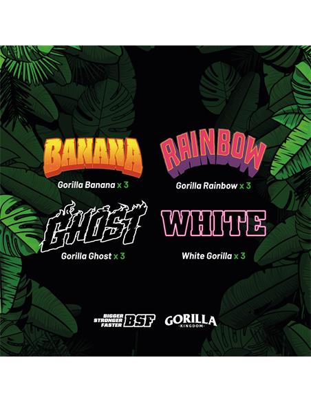 Gorilla Familia GK - X12