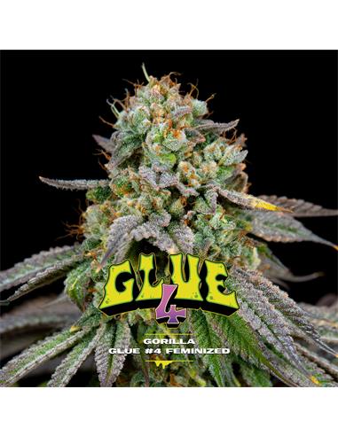Gorilla Glue #4 GK - X12