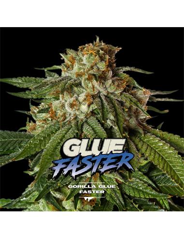 Gorilla Glue Faster GK - X2