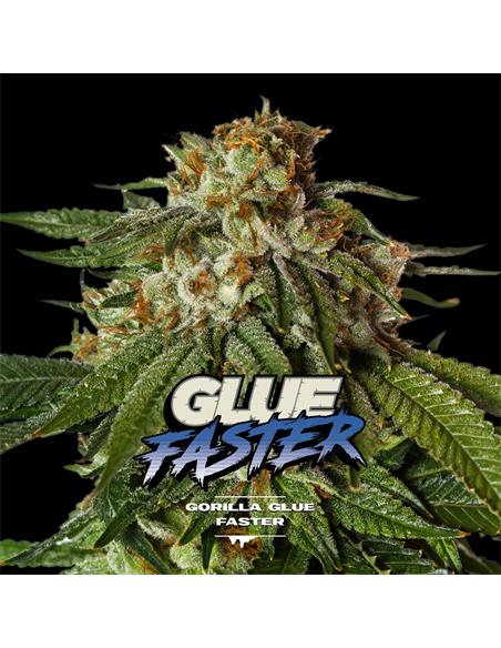 Gorilla Glue Faster GK - X7