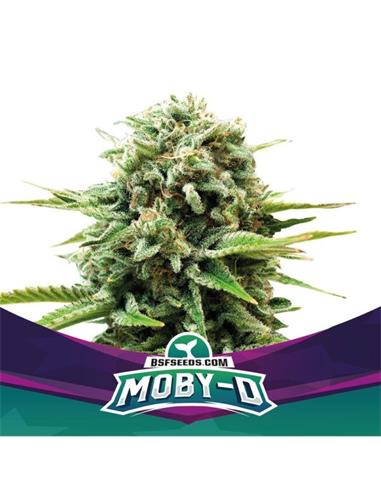Moby-D - X7