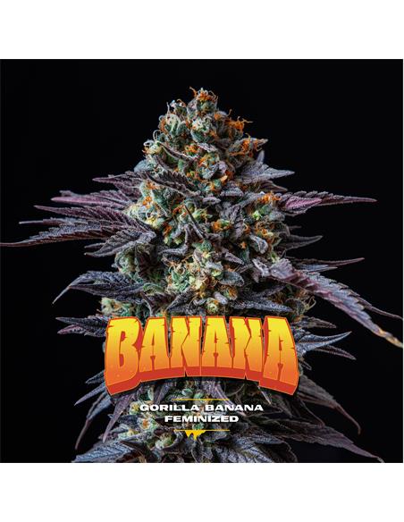 Gorilla Banana GK - X7