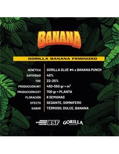 Gorilla Banana GK - X7 2