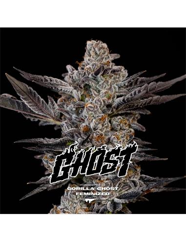 Gorila Ghost GK - X2