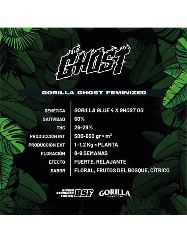 Gorila Ghost GK - X4