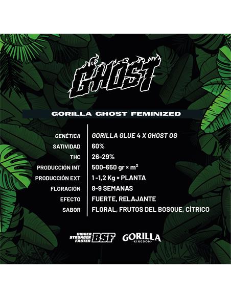 Gorila Ghost GK - X4