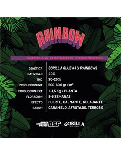 Gorilla Rainbow GK - X4 2