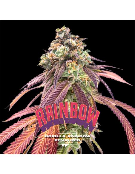 Gorilla Rainbow GK - X12