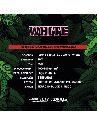 White Gorilla GK - X2