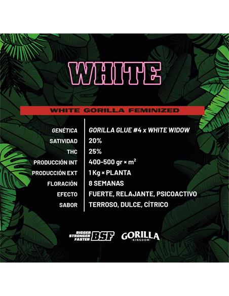 White Gorilla GK - X12