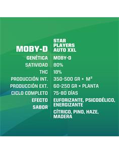 Moby-D XXL Auto - X4 2