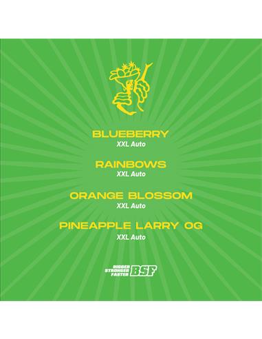 Tutti Frutti XXL Automix - X8