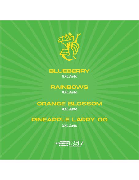 Tutti Frutti XXL Automix - X8