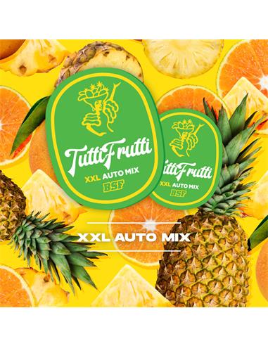 Tutti Frutti XXL Automix - X12