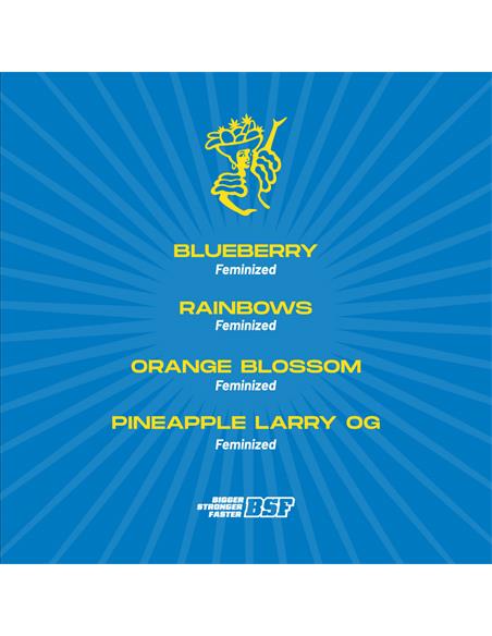 Tutti Frutti Feminized Mix - X4