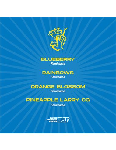 Tutti Frutti Feminized Mix - X8