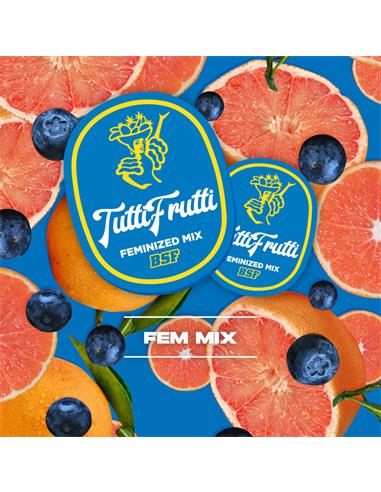 Tutti Frutti Feminized Mix - X8