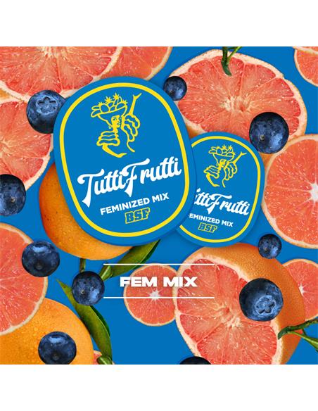 Tutti Frutti Feminized Mix - X8