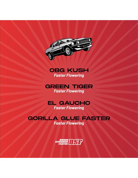 Fast And Furious Faster Mix - X8