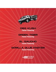 Fast And Furious Faster Mix - X16 2