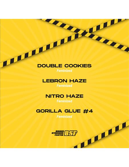 High Voltage Feminized Mix - X8