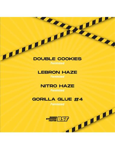 High Voltage Feminized Mix - X16