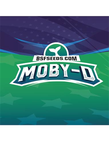 Moby-D XXL Auto - X12