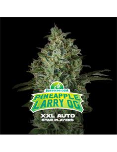 Pineapple Larry OG XXL Auto - X7