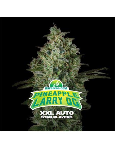 Pineapple Larry OG XXL Auto - X7