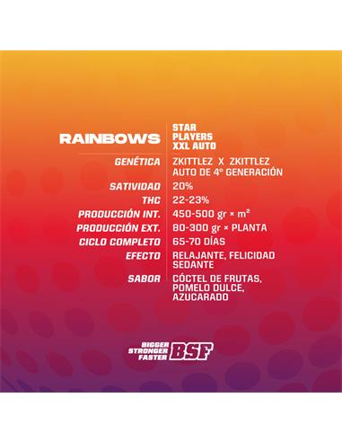 Rainbows XXL Auto - X4