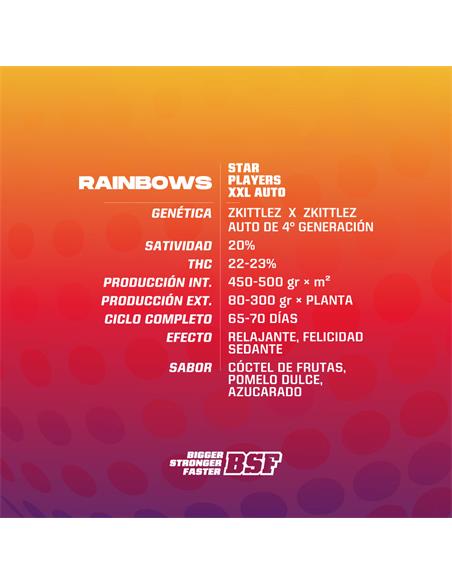 Rainbows XXL Auto - X4