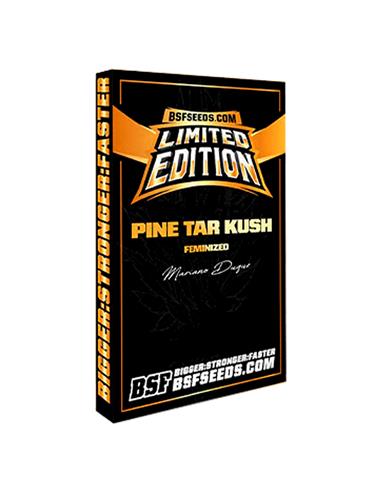 Pine Tar Kush L.E. X12