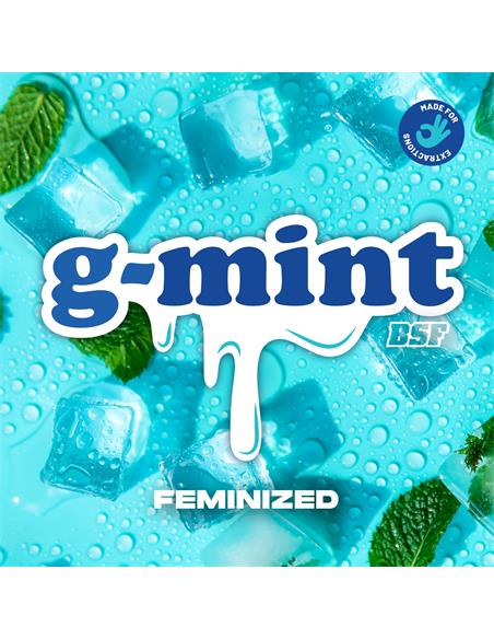 G-Mint X2