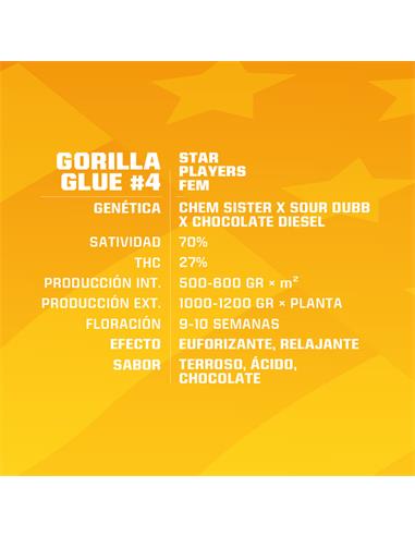 Gorilla Glue #4 - X7