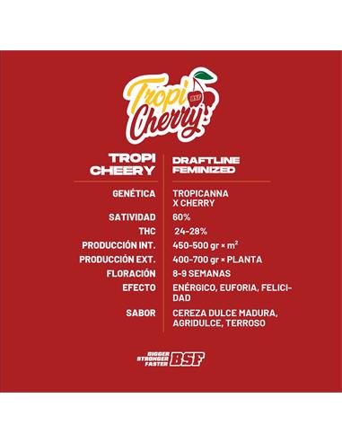 Tropi Cherry X4